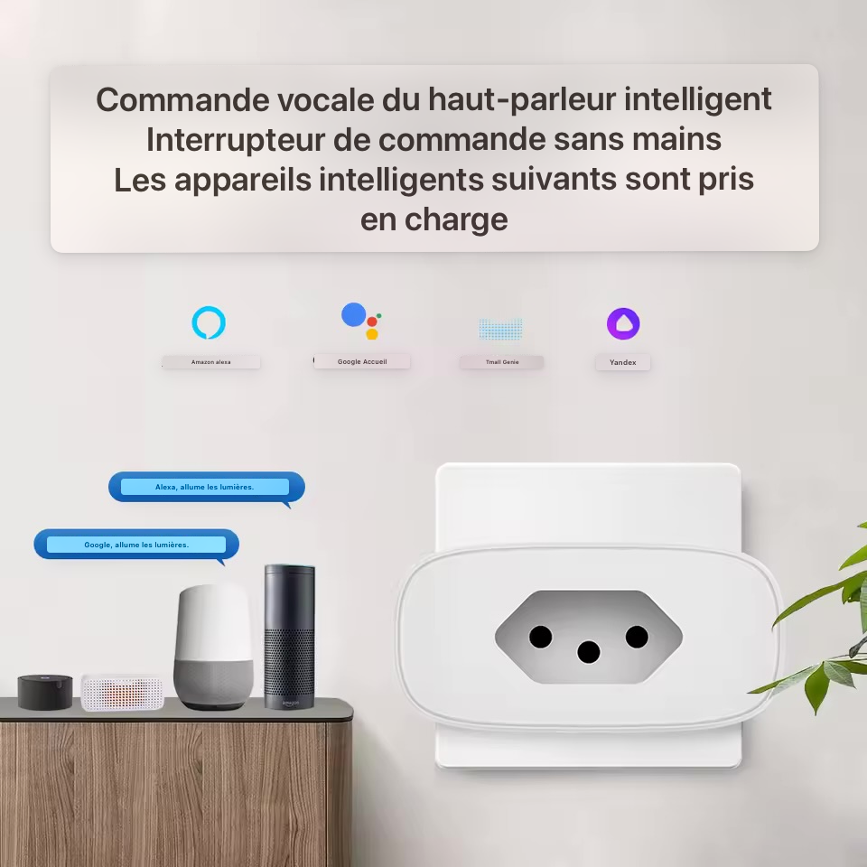 Prise WiFi type 13 suisse